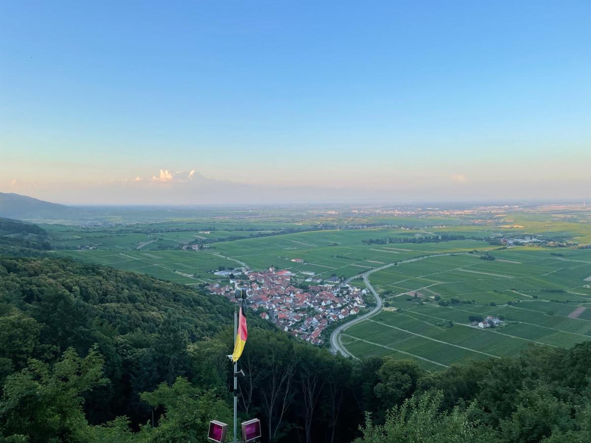 Ferienwohnung Suedliche Weinstrasse Zwischen Wald Und Reben Klingenmünster 外观 照片