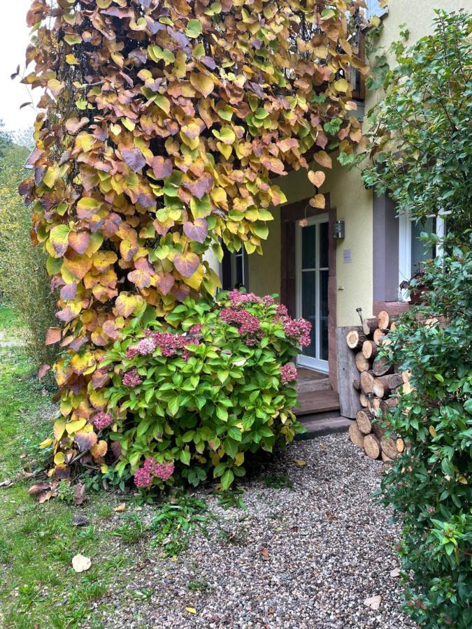 Ferienwohnung Suedliche Weinstrasse Zwischen Wald Und Reben Klingenmünster 外观 照片
