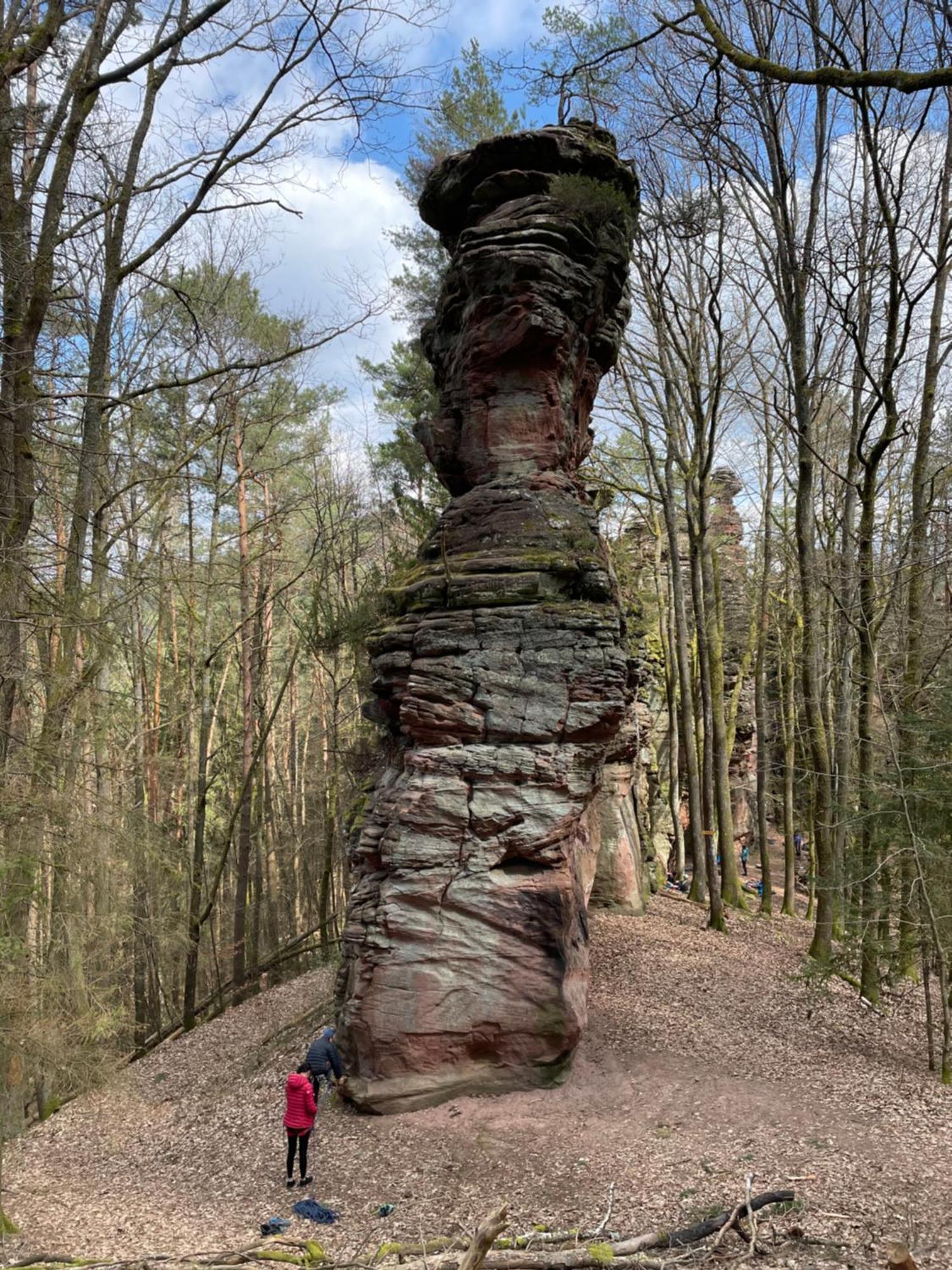 Ferienwohnung Suedliche Weinstrasse Zwischen Wald Und Reben Klingenmünster 外观 照片